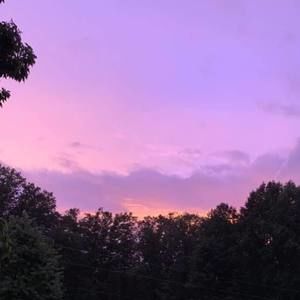 Meet your Posher, Wanda